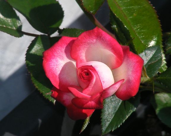 Kristin photo kri2014_06280006_zpsd1877a0d.jpg